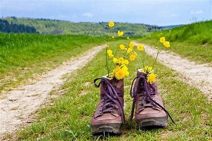 wandelingen